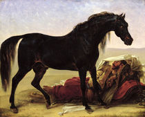 An Arabian Horse by Baron Antoine Jean Gros