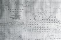 Whale Chart of the North Pacific von American School