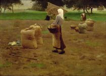 Harvesting Potatoes von Henri Lerolle
