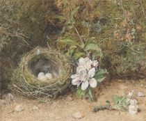 Bird's Nest with Sprays of Apple Blossoms by William Henry Hunt