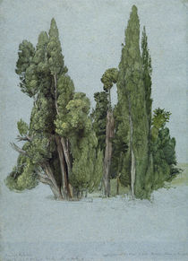 The Cypresses at the Villa d'Este by Samuel Palmer