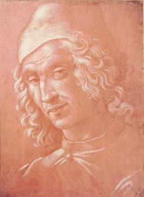 Head of a Man von Davide Ghirlandaio