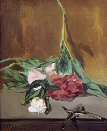 Stem of Peonies and Secateurs by Edouard Manet