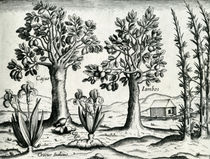Landscape, Illustration from 'India Orientalis' by Theodore de Bry