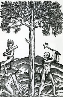 Tree cutting, illustration from 'Singularities of France Antarctique' by French School