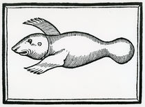 A Fish called 'Manati' from 'la Historia general de las Indias' 1547 von Christopher Columbus