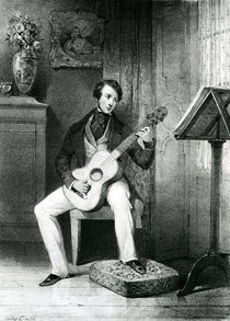 The Guitar player von Jules David