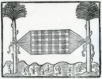 A Hammock from 'la Historia general de las Indias' 1547 von Christopher Columbus