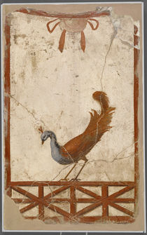 Wall Fragment with Peacock by Roman