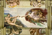 Sistine Chapel Ceiling : Creation of Adam by Michelangelo Buonarroti