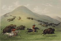 The Buffalo Hunt by George Catlin