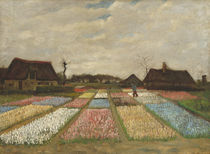 Flower Beds in Holland, c.1883 by Vincent Van Gogh