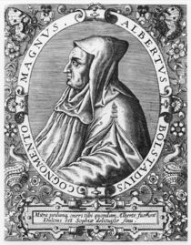 Albertus Magnus von Theodore de Bry