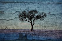 Der Baum by Claudia Evans