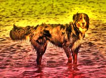 Magic Berner Sennenhund 2 by kattobello