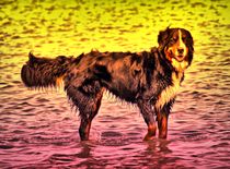 Magic Berner Sennenhund 1 by kattobello
