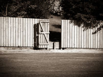 The Fence Gate by Michael McGimpsey