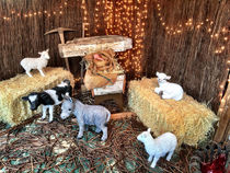 Away In The Manger by Michael McGimpsey