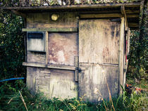 Old Shed by Michael McGimpsey