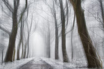 Winter by Stefan Kierek
