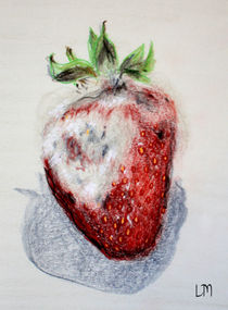 The Life of a Strawberry No.2 von lona-misa