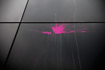 Pink Splash von Thomas Schaefer