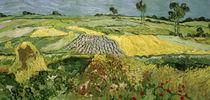 Van Gogh / Fields in Auvers by klassik art