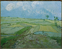 Van Gogh / Wheatfields in Auvers / 1890 by klassik art