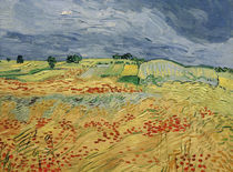 Van Gogh / Fields with Blooming Poppies by klassik art