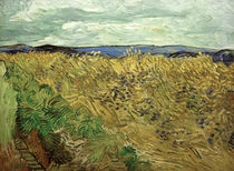 V. v. Gogh, Field w. Cornflowers / Ptg./1890 by klassik art