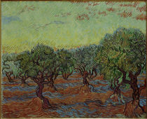 Van Gogh / Olive hain by klassik art