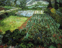 v. Gogh / Poppy Field / 1889 by klassik art