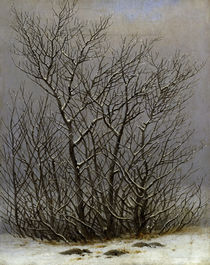 C.D.Friedrich, Gebüsch im Schnee von klassik-art