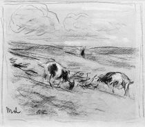 Liebermann / Goats grazing on dunes by klassik art