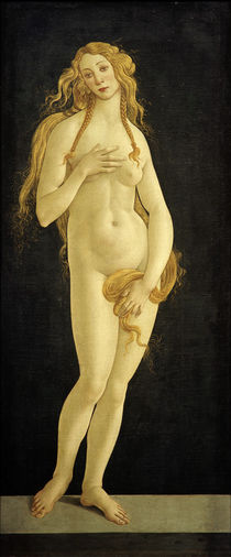 S.Botticelli (Werkstatt), Venus von klassik-art