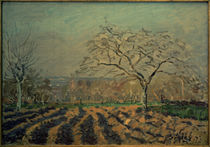 A.Sisley, Ackerfurchen von klassik art