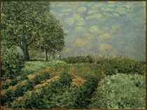 A.Sisley, Felder von klassik art