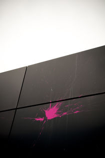 Pink Splash III by Thomas Schaefer
