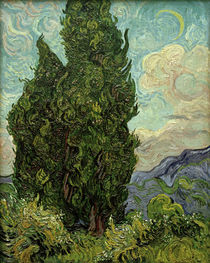 V. van Gogh, Zypressen by klassik art
