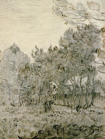 V. van Gogh, Im Park der Heilanstalt von klassik art