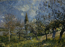 Sisley / Obstgarten im Frühling/ 1881 von klassik art