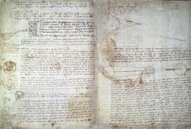 Leonardo da Vinci, Seiten aus Cod. Hammer von klassik-art