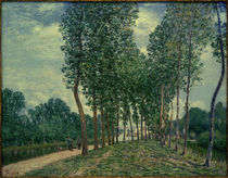 A.Sisley, An den Ufern des Loing bei Moret by klassik art