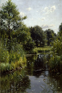 Peder Mørk Mønsted, Reeds at the Lake by klassik art