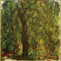 Monet, Weeping willow by klassik art