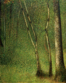G.Seurat, Wald in Pontaubert by klassik art