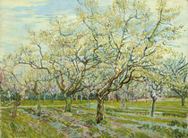 The White Orchard / V. van Gogh / Painting, 1888 by klassik art