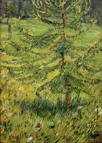 Franz Marc, Young larch in a meadow by klassik art