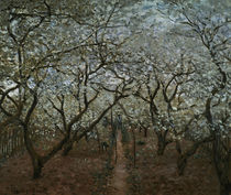 Monet / Blossoming Orchard / 1879 by klassik art