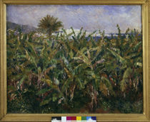 Renoir / Banana Plantation / 1881 by klassik art